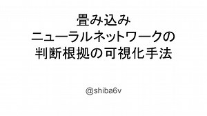 畳み込みニューラルネットワーク(CNN)の判断根拠の可視化手法 (20分トーク用)