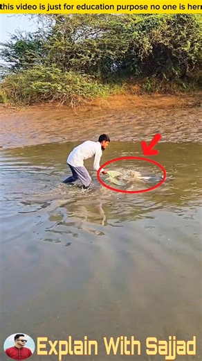 শাকনা দিয়ে মাছ ধরতে গিয়ে কি হলো দেখুন #facts #fishinglife #fishing #viralvideo #fish #shorts