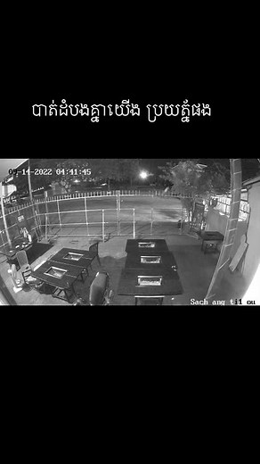 Security Camera Night Vision Footage Analysis