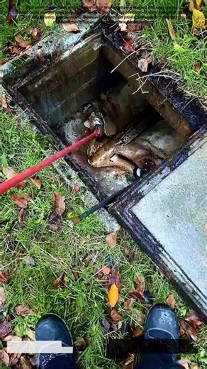 Drain Cleaning Process | Clearing Blocked Sewer Line