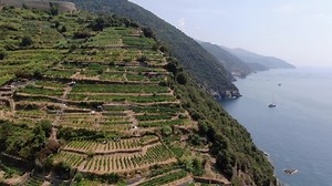 21K views · 166 reactions | In this video a Fassi F1650RAL.2.28 crane...