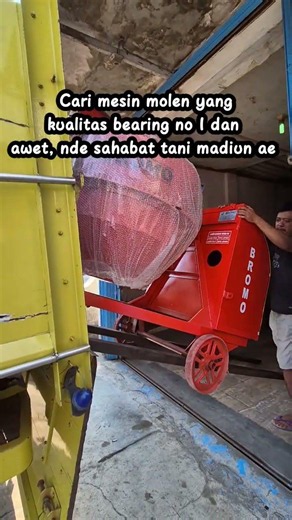 cari mesin molen yang kualitas no 1 dan bearing full koyo ? #sahabattanimadiun ae lur!