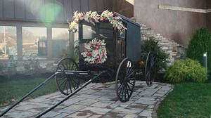 5.6K views · 48 reactions | We're counting down the days until we transform the Eden Resort & Suites into a winter wonderland⛄️ Plan a cozy stay and enjoy attractions like Dutch Winter Wonderland, Hersheypark Christmas Candylane, Kitchen Kettle Village, and so much more! Experience Lancaster like never before during the chilly months. | Eden Resort & Suites | Facebook