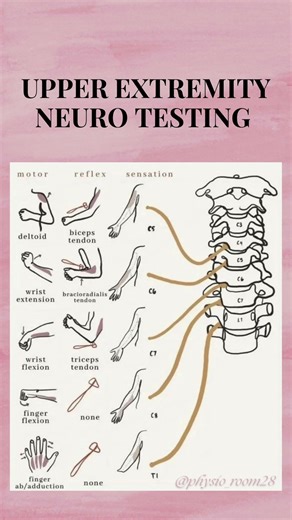 Upper Extremity Neuro Testing 🧠🦾