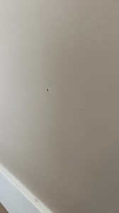 Tired of ignoring those small paint chips around your house 👀 This refillable paint pen makes paint touch ups super easy! Comment “NEED” for the link. #painttips #homeimprovement #homerenovation #diyprojects | Keepinupwith_KJ