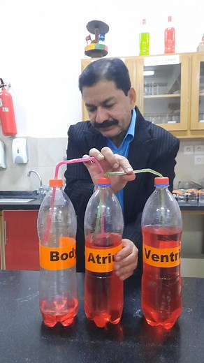 Heart Model|🤩| #reel #science #experiment #respiratory #heart | Science with Asif