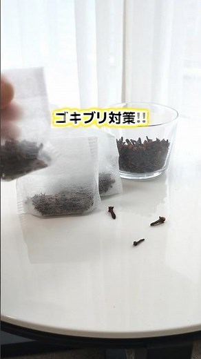 【スパイスでG対策!? ｜ 子供・ペット・食品庫に置いても安心】#ゴキブリ #G対策 #スパイス #裏ワザ