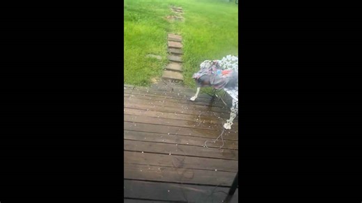 Dime-sized hail pounds during storm in Fayette, Pennsylvania, USA