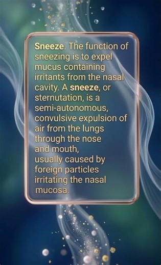 What Happens When You Sneeze? The Body's Powerful Defense Mechanism Explained