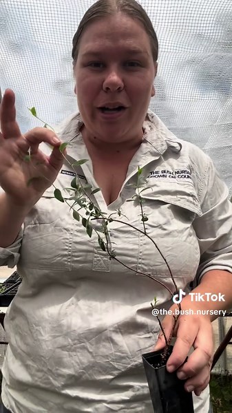 Discover Apple Berry: A Sweet Addition to Your Garden