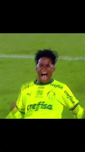 Vibrant Celebration Highlights