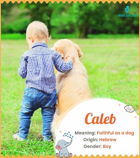 Caleb Name Meaning & Origin in 2025: Comprehensive Guide