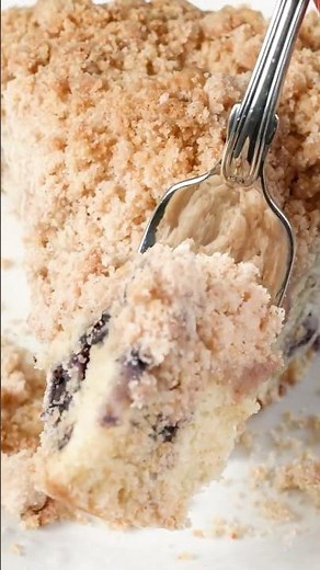 YOU’LL BE OBSESSED With This Blueberry Crumb Coffee Cake!