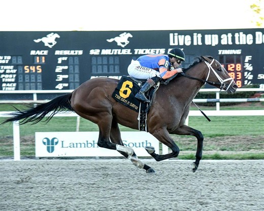 Kentucky Derby pedigree profile: Renegade | TwinSpires