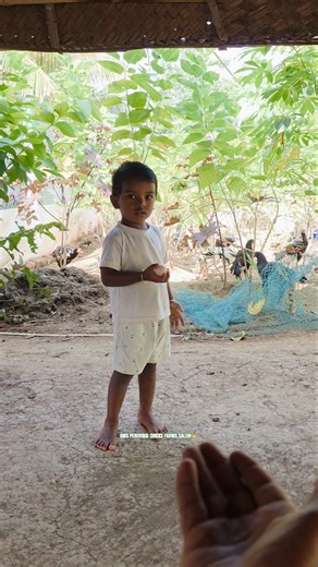 தங்கப்பூவே🤣💕#poultry #roosterfarm #eggs #agriculture #children #baby #pets #gmsfarms #shorts