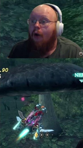 XENOBLADE KART MUSHROOM INCIDENT?!