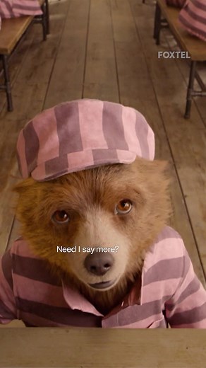 Paddington 2: Mustard Moments and Heartwarming Scenes