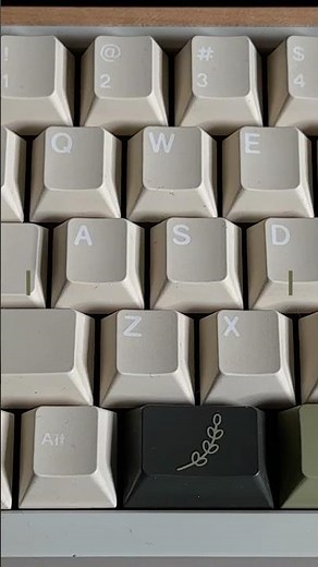 Classic creamy thocky switch comparisons