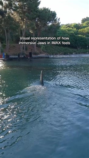 JAWS is back in theaters today and this is how immersive JAWS feels in IMAX! Via IMAX | The Daily Jaws