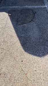 24K views · 371 reactions | Sleeper truck built and delivered by Lebanon Ford Performance! If you want the best in the game to build your dream ride, message or call us and we will get you right! #f150 #fordtrucks #lebanonfordperformance #ford #supercharged #lfp #fordf150 #fordperformance #v8 #superchargedv8 #ohio | Lebanon Ford Performance | Facebook