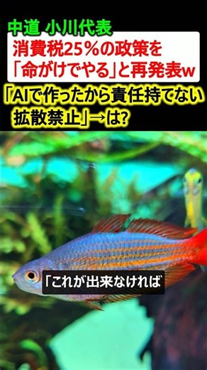 中道 小川代表、消費税25％の政策を再発表して炎上→「政策はAIで作った」