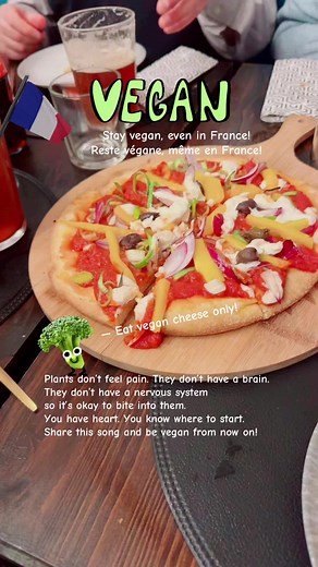 That Vegan Teacher Miss Kadie su TikTok