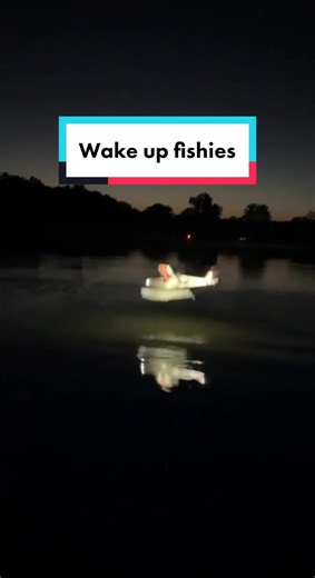 Start Flying Today with E-flite Night Timber X | HorizonHobby.com