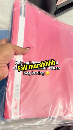 Affordable File Organizer for School and Office Use