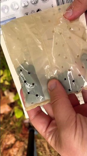 Planting New Flower Bulbs for Spring