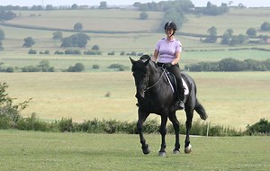 5 steps to bring your horse back in to work - Horse & Hound