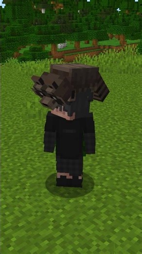 MAPACHES EN MINECRAFT