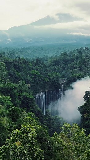 1.5K views · 11 reactions |  @florisgone | Tumpak Sewu Waterfall...
