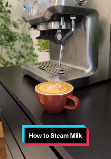 Noah Stern on TikTok