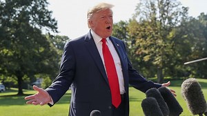 'We need intelligent background checks': Trump