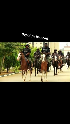 Inside the Police Academy: Training Highlights