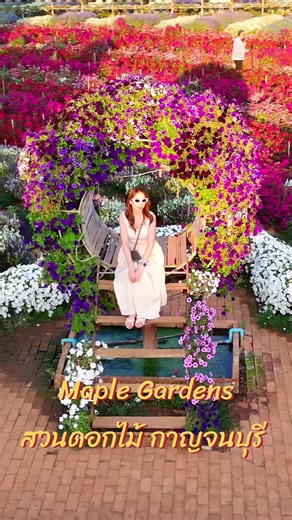 พามาชมสวนดอกไม้กาญจนบุรี ##เมเปิ้ลการ์เด้น##สวนดอกไม้กาญจนบุรี##maplegardens