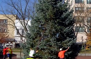 Springfield to host Mayor’s Tree Lighting Ceremony with activities for the whole family