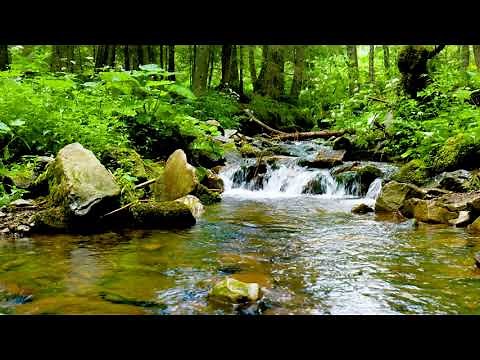 Ukraine Mountain Stream, Water flowing Sound 4k. Forest Stream Sounds/ Sleep & Relaxation 10 hours.