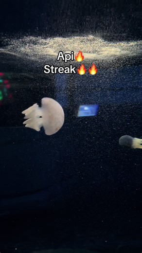 Khám Phá Thủy Cung Phú Quốc: Kinh Nghiệm Sống Động