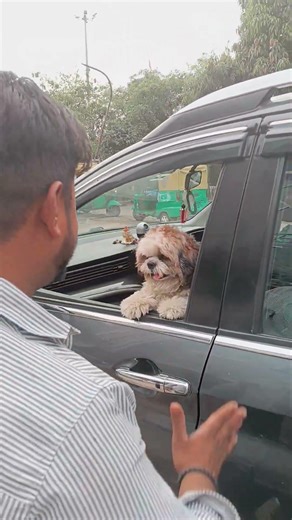 chepter 19 #viral #funny #ekmotahathighumechala #gameskhelkarpaisekai #comedy #tranding #vlog