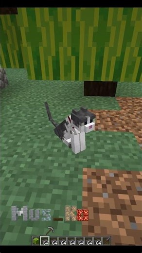 Plannts VS Zombie ❌​ Plants VS Cat ✅​