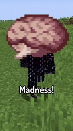 Sanity Mod - Descent into Madness in Minecraft