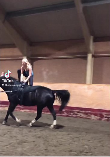 Vaulting: Tips and Techniques for Equestrian Success