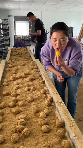 आखिर मम्मी ने सारा मिट्टी खा लिया ll Carriage House wooden artist ll #cartoon #shortvideo