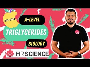 Triglycerides | Lipids | Bite-sized | A-level Biology | Mr Science in 8K