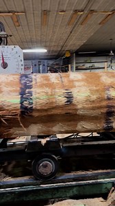 911K views · 9.7K reactions | Sawing some 4/4 and 6/4 Red Oak this morning! Click on the link in the comments to watch the full video on YouTube! Also please like and subscribe to our channel! #greenridgeforestry.com #greenridgeforestproducts #professionaltimbermanagement #usemorewood #sawmill | Green Ridge Forest Products | Facebook