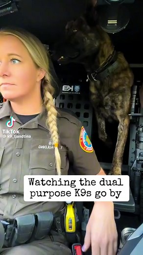 Police K9 Police K9 | Police K9