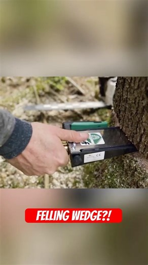 Why This Wedge Is Mandatory for Loggers