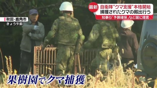 自衛隊“クマ支援”本格開始　捕獲後の搬出担う　警察官も13日からライフル銃で駆除へ（日テレNEWS NNN）