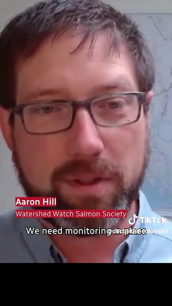 Record Pink Salmon Return to Fraser River This August